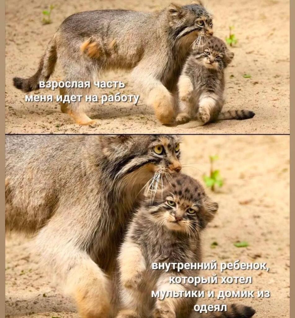 Мем от Мемный челик [{БЕССМЕРТНЫЙ}]