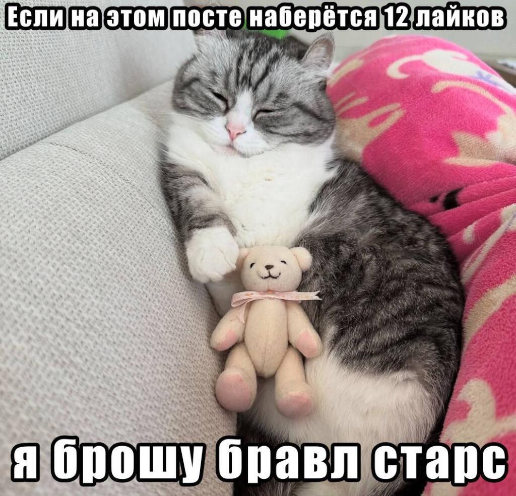 Мем без подписи