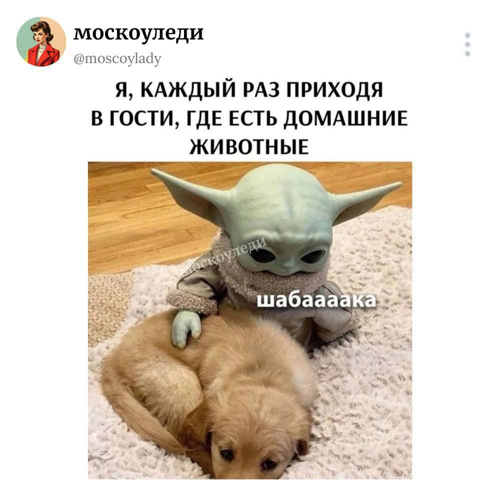 Мем без подписи