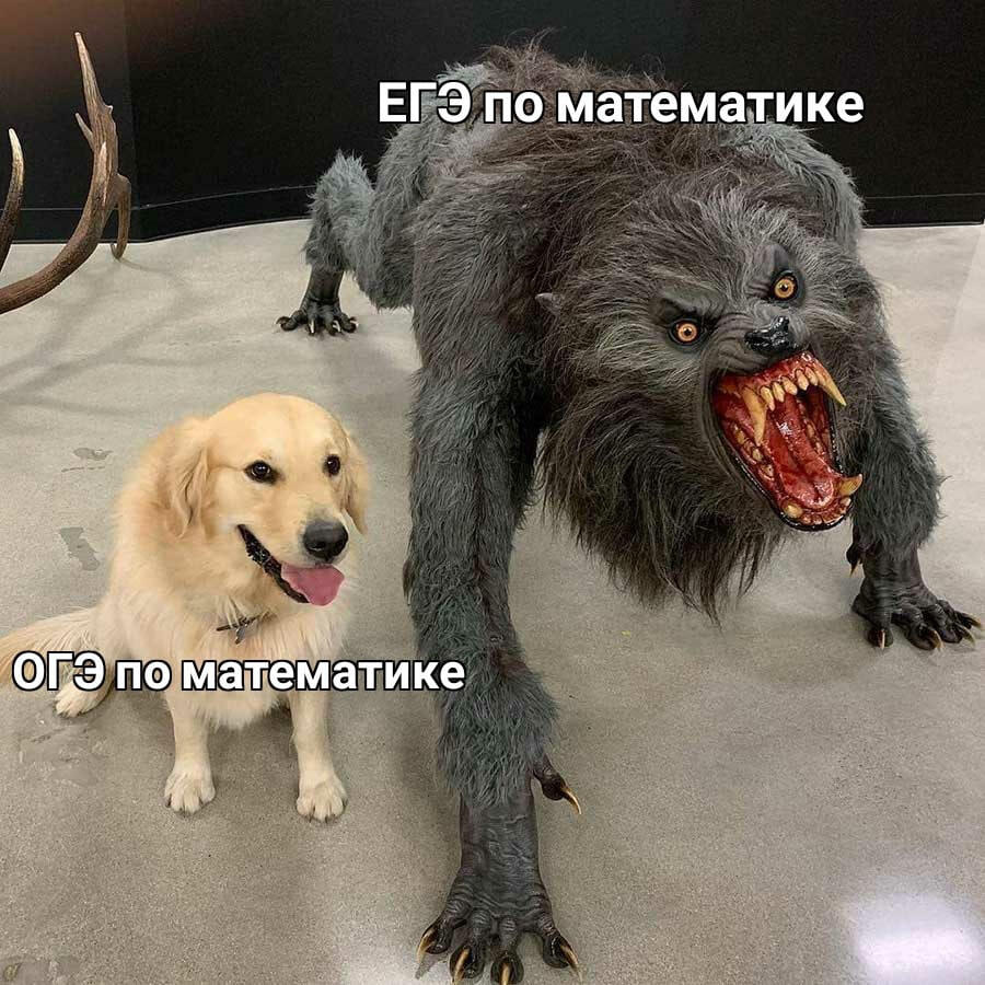 Мем без подписи