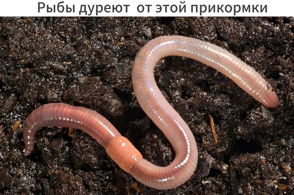 И это правда