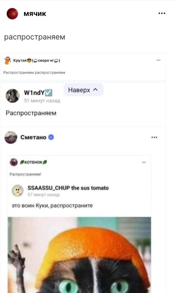 Ну типо распостроняем