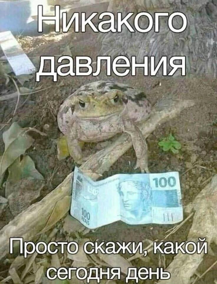 Мем от Кнайфи [ПЗМ]