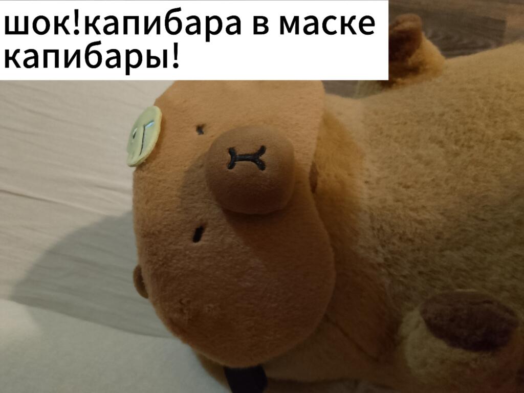 Капибара в маске капибары!
