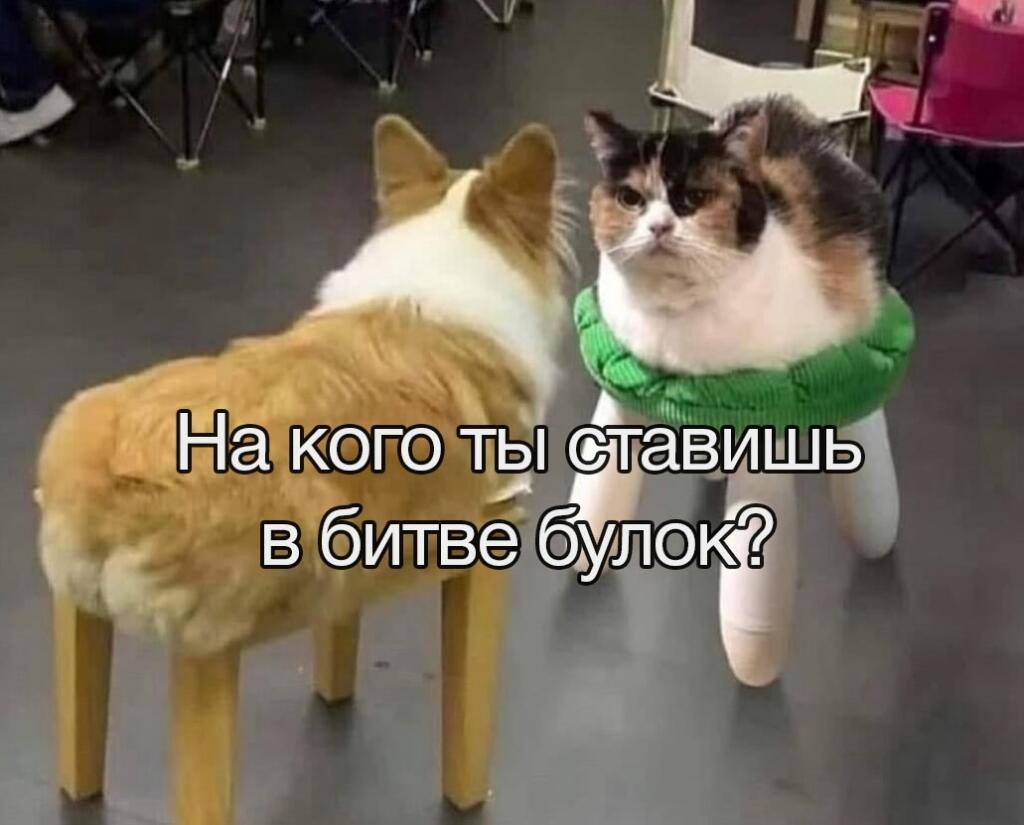 Pov (от первого лица): Ты лягушка, наблюдающая за битвой Цербера и Исп...