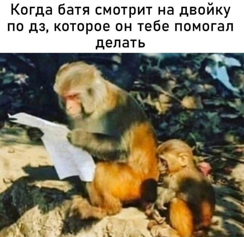 Хе хе