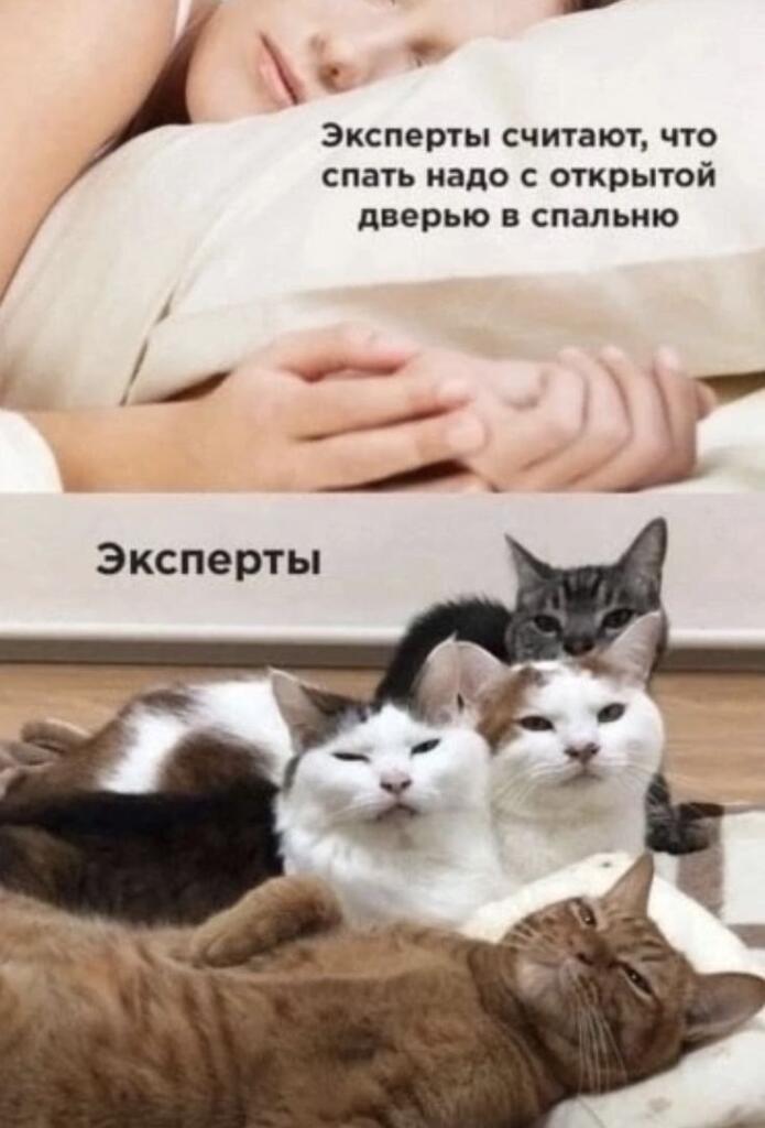 Мем от misfortune official