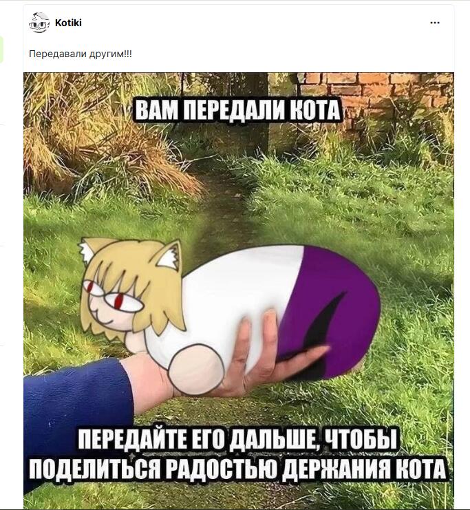 передаю неко арк (зочем)