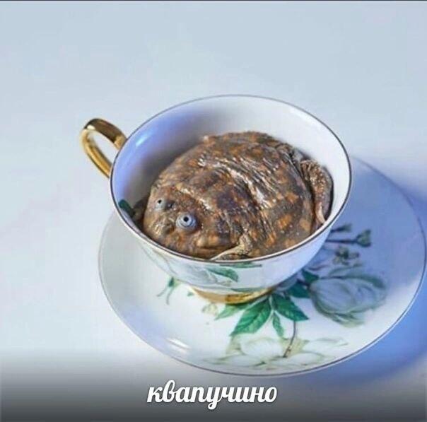 Всех со средой