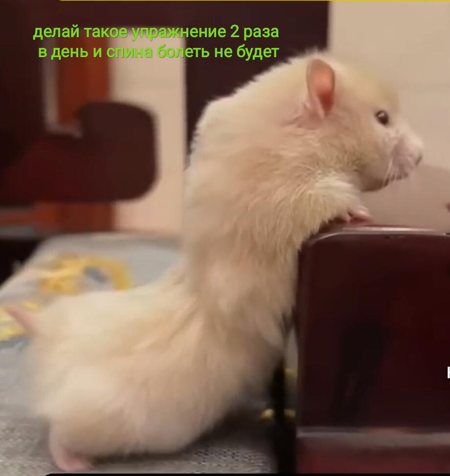Мда
