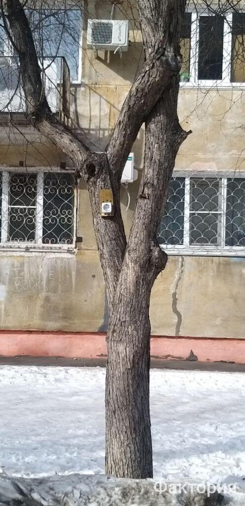Мем от Фактория