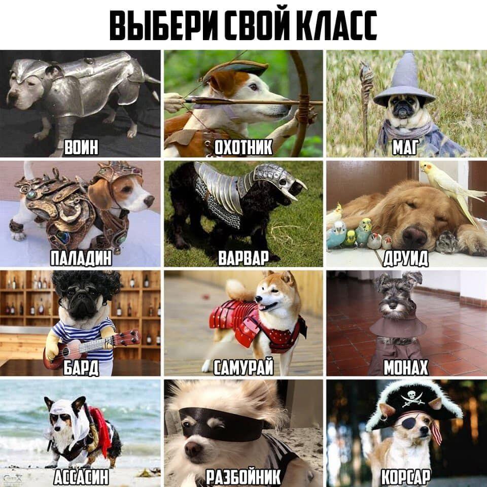 Выбери своего бойца