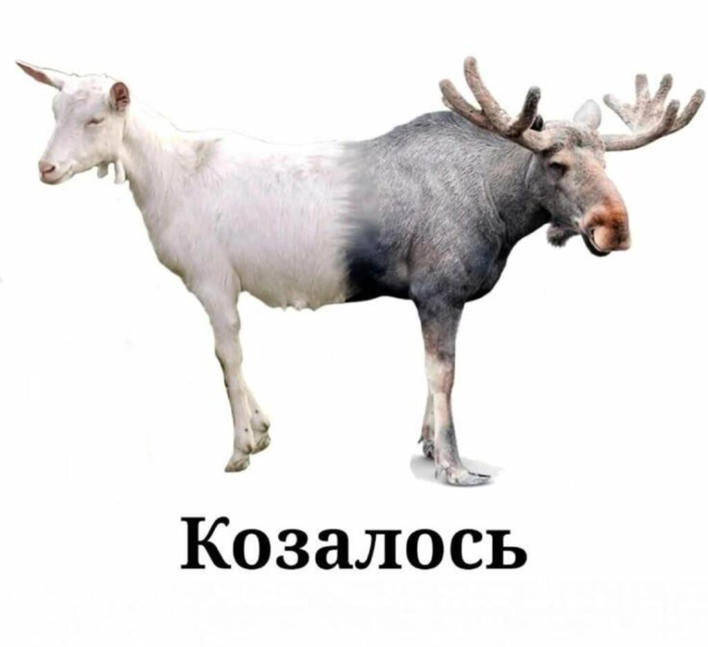 По