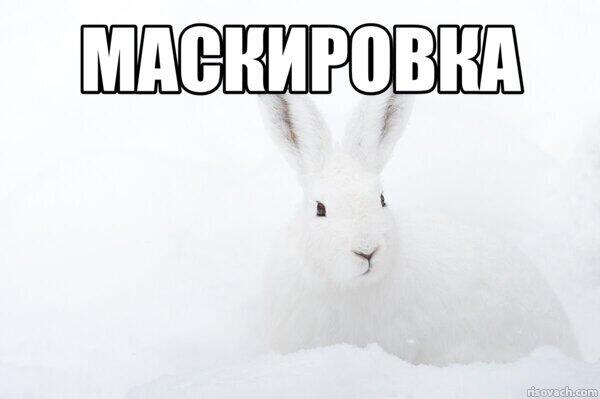 Мем без подписи