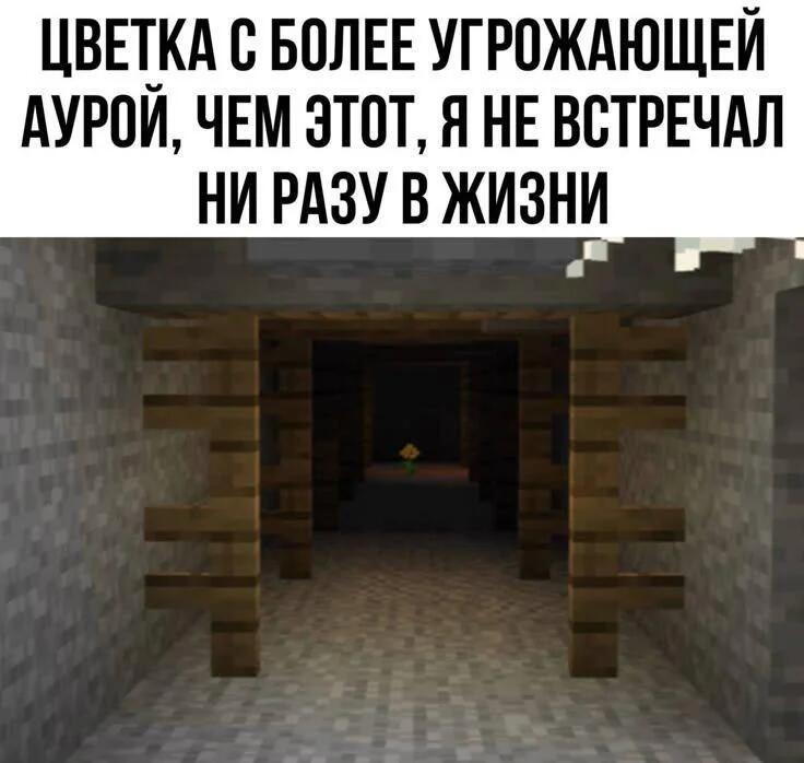 Флауи, это ты?!