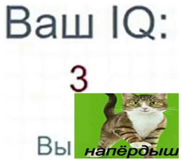 шок слили мой тест на iq