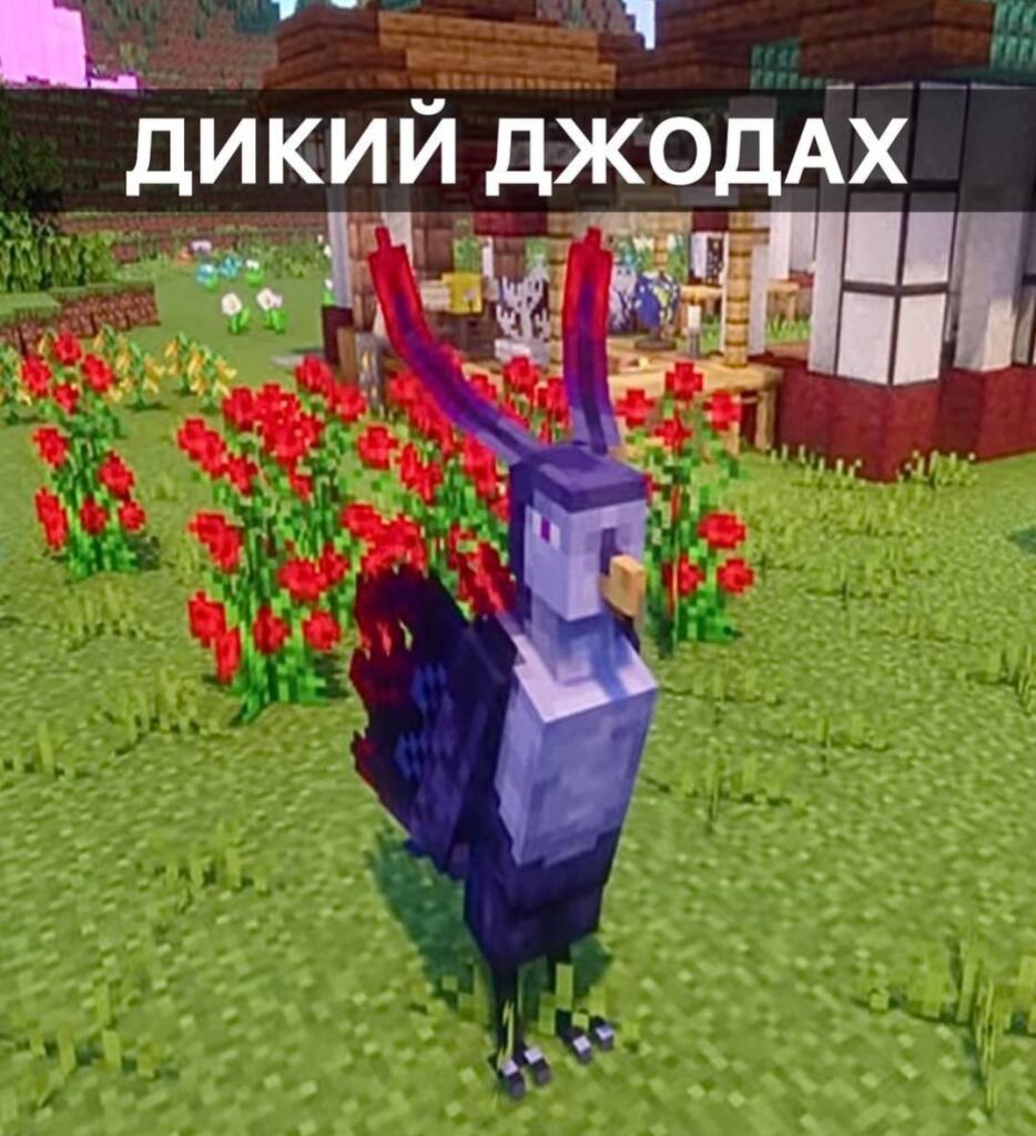 Накаркали блин! Он реально индюком стал!