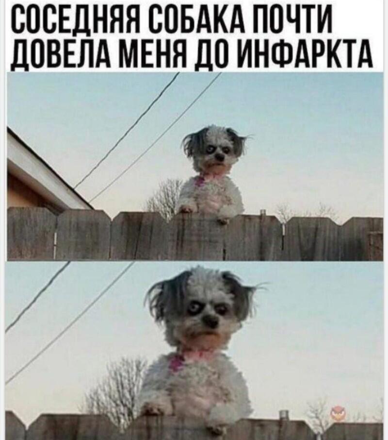 Признайтесь, испугались))