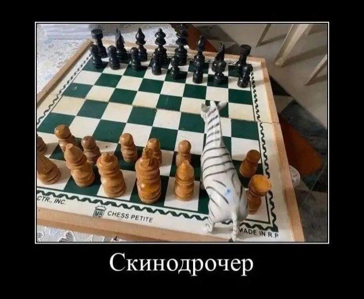 Шахматы мем 2