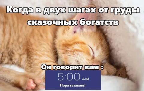 Мем от PrimeBugle