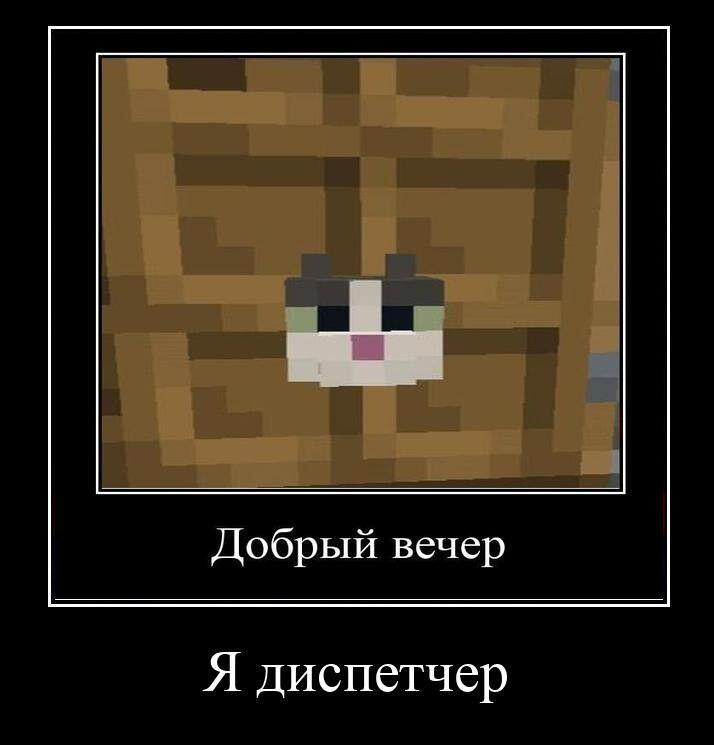 Я: лежу на кровати
Также мой кот