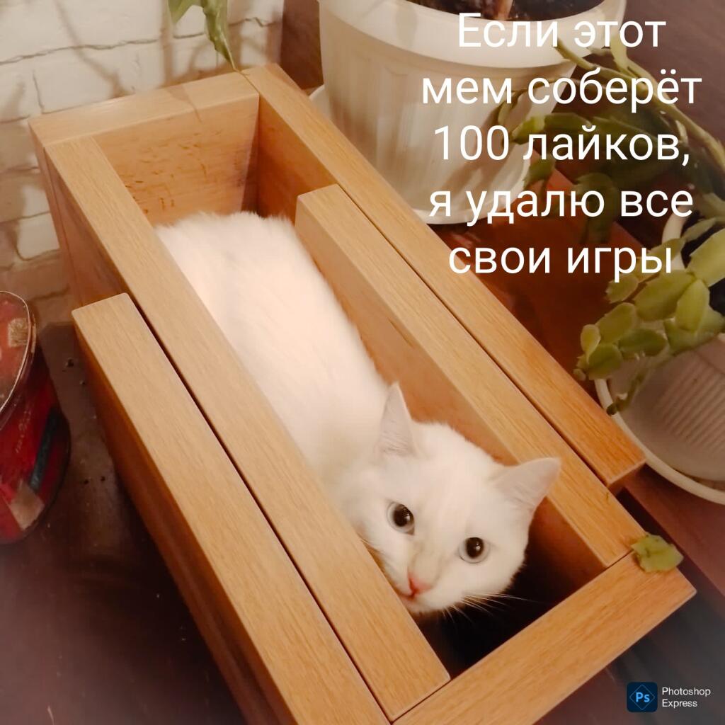 Мем от Макар
