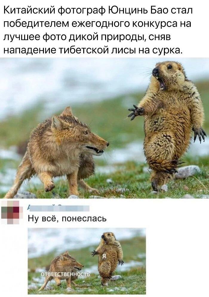 Думаю это будет хорошим испытание для вас, мои любители создавать юмор...