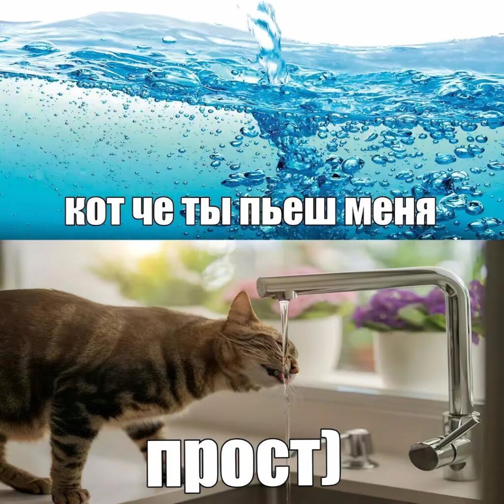 Слишком гениальный мем для этого сайта.