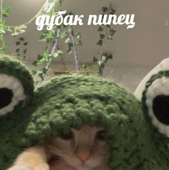 (\_/) ( •.•) />https://t.me/+_i1cQVH0lmxhNjZi тг группа культта кофе