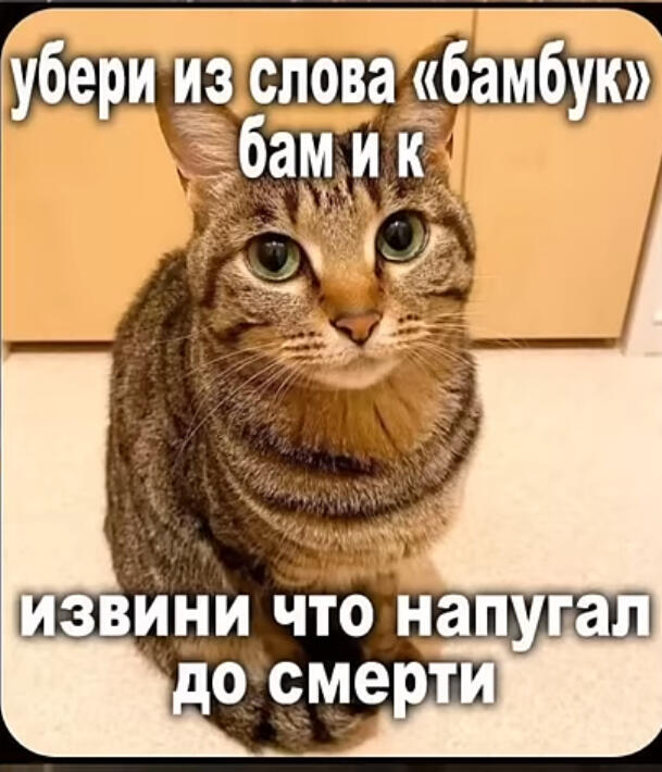 Мем без подписи