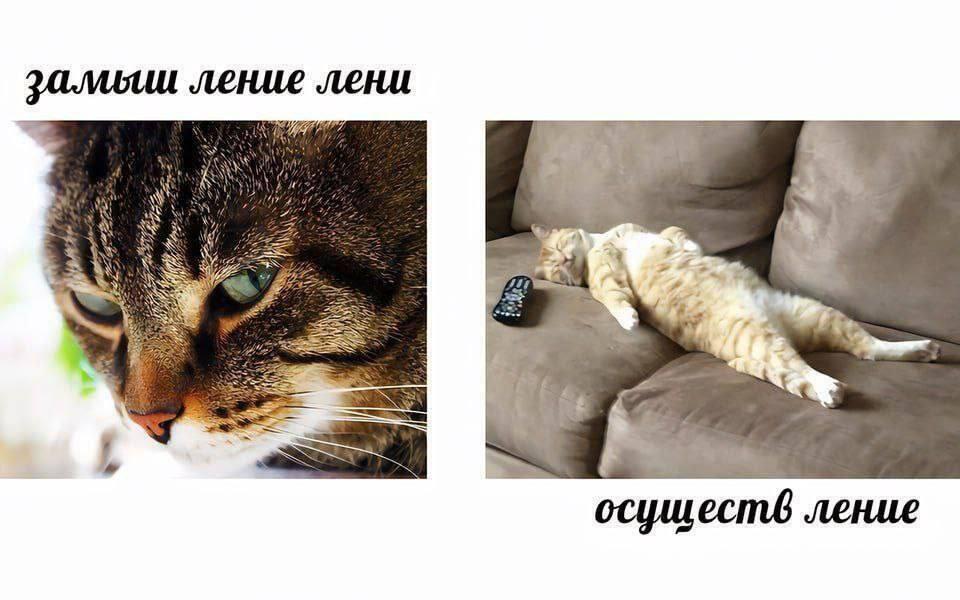 Мем от Meme Creator