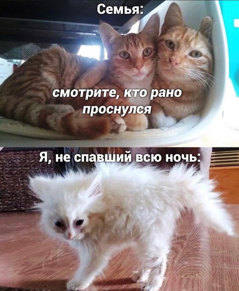 Мем без подписи