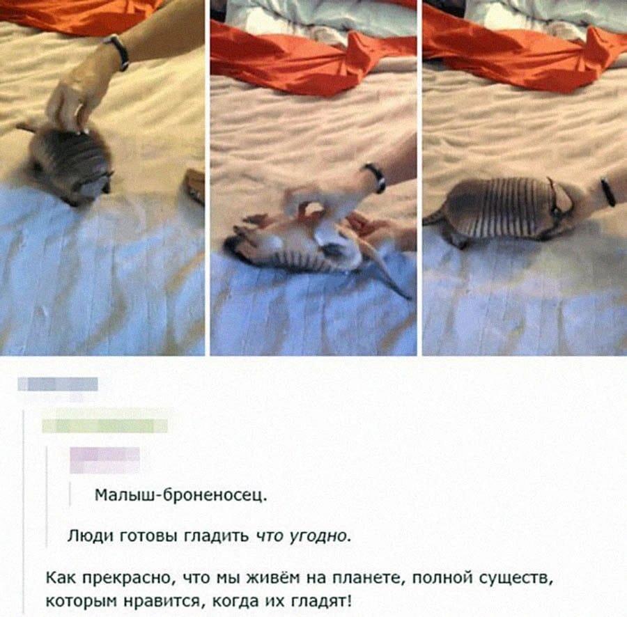 Мем от Rusty_W1nd🥫