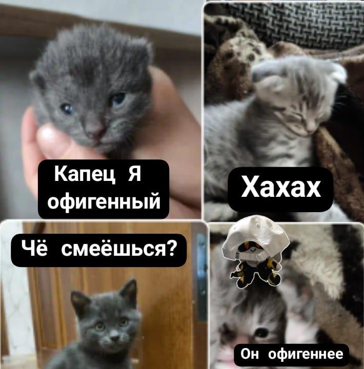Мем от Srego
