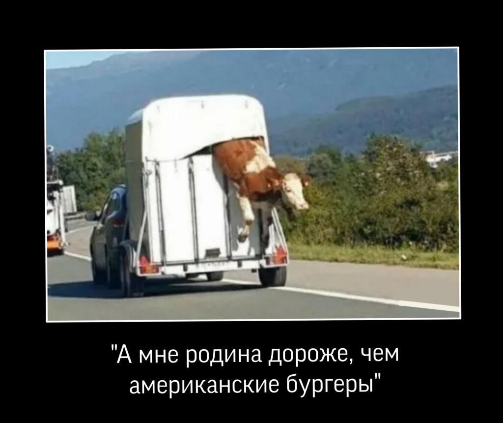 Мем без подписи