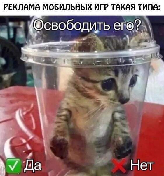 Мем без подписи