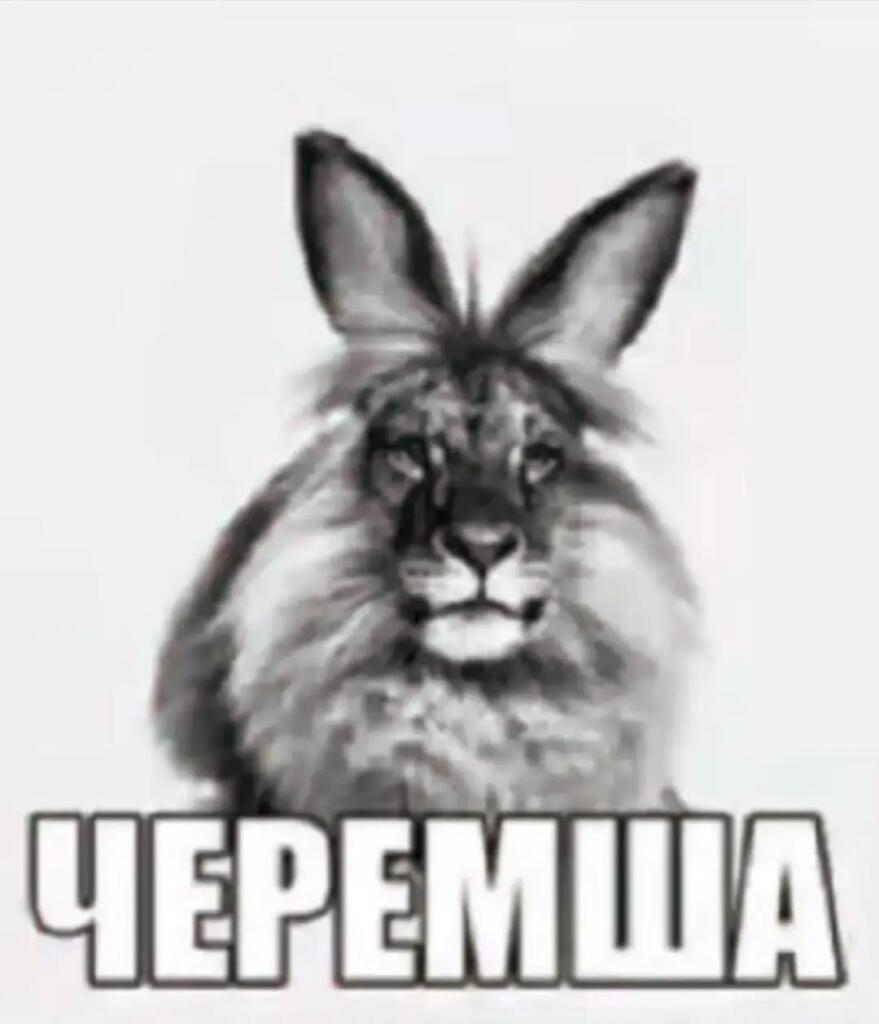 Спустя столько времени я наконец вернулся на мемозг. Спасибо всем тем кто привил мне любовь к этому сайту.Особое спасиб