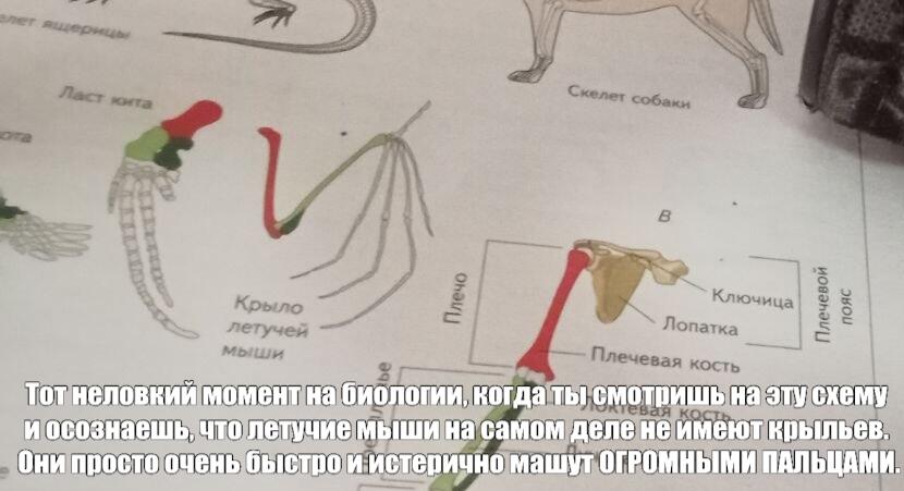 :)...
Ya vernulsya.
