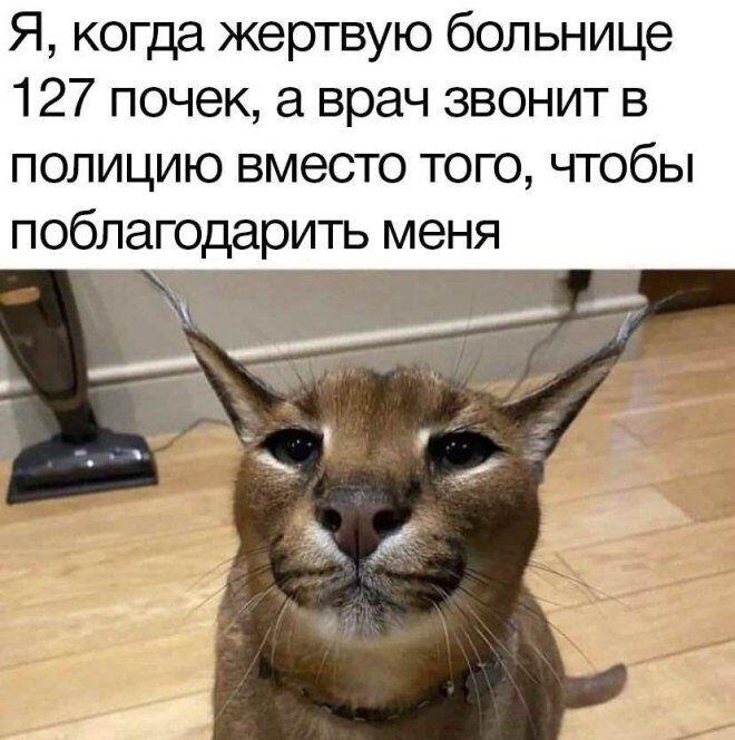 Неблагодарные!