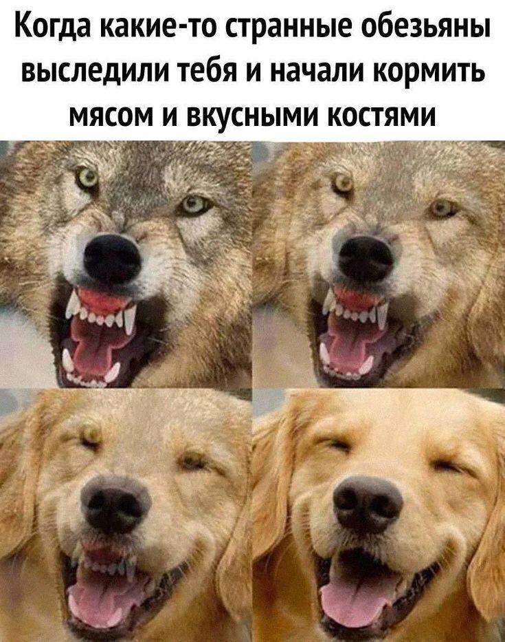 Мем без подписи