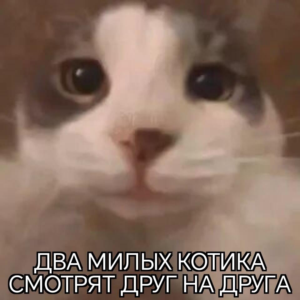 Мем без подписи