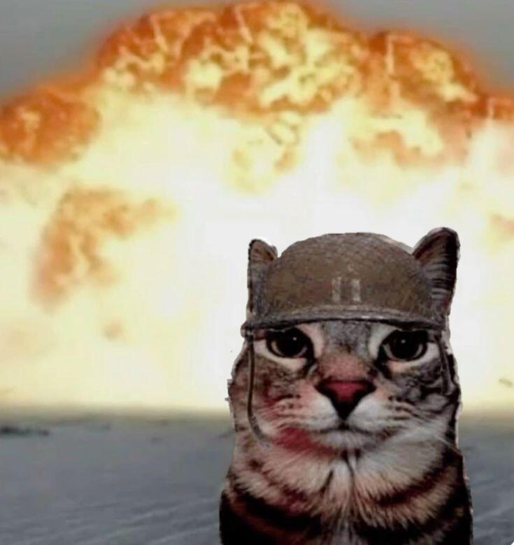 месяц лета потерян, досадно