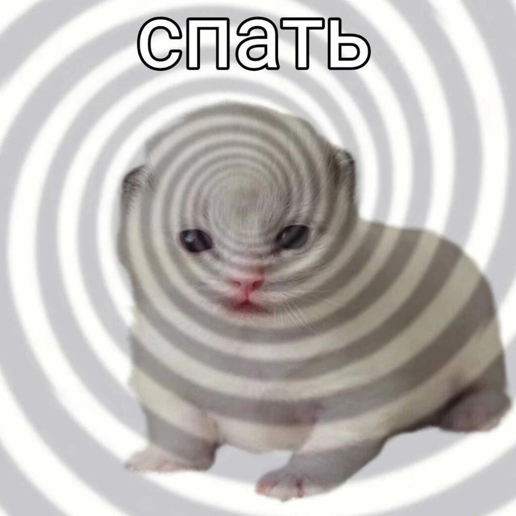 Спать спать спать спать спать спать спать спать спать спать спать спат...