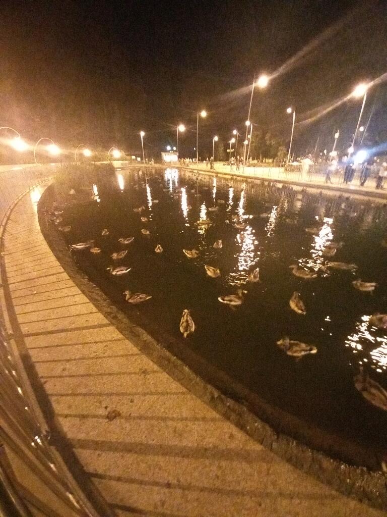 Мема нет, наслаждайтесь уточками 🥰
😱👉🦆