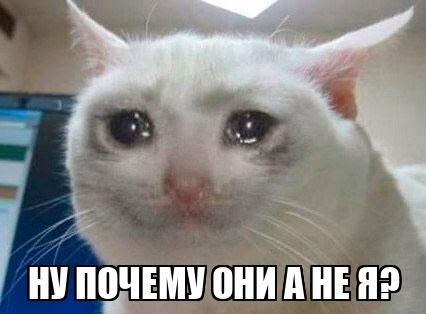 пов: когда под готовился к уроку а спрашивают всех но не тебя