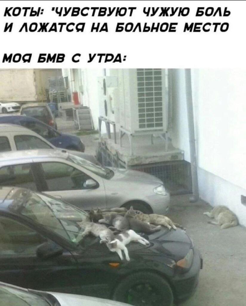 .....