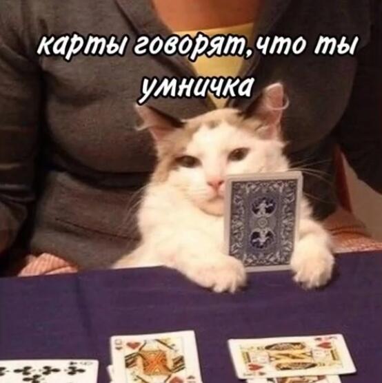 Хы-хы))