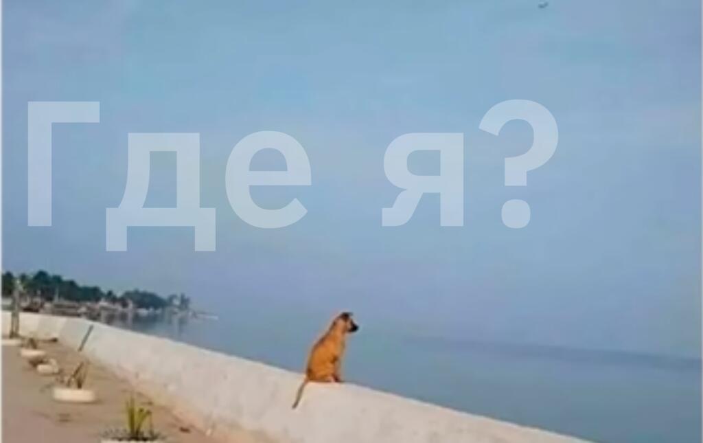 100% я на другой Улице, Городе, В СТРАНЕ БЛИНСКИЙ БЛИН!