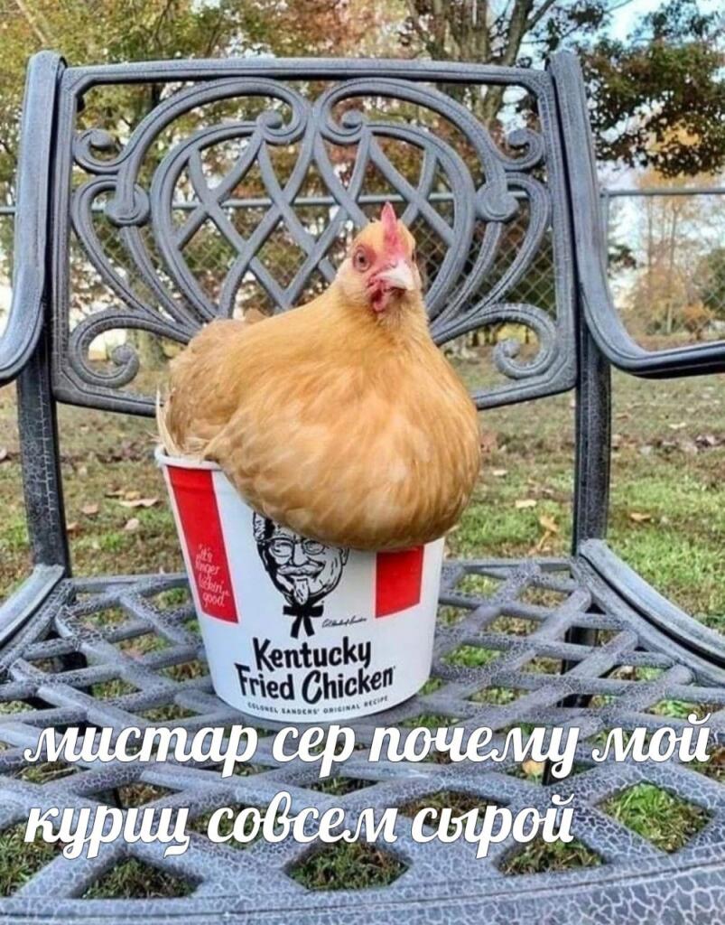 Мем от КотоУт