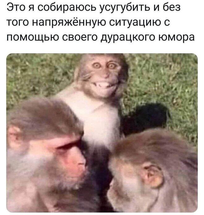 Мем от Фантоккио Великий 2.0